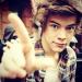 Harrylover